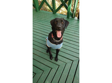 CAFE´こうたろう