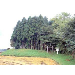 高龗神社古墳（宇都宮市）