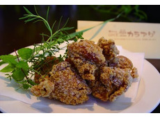 UME chan カラアゲ