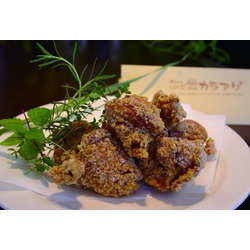 UME chan カラアゲ