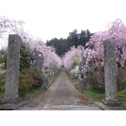沢観音寺