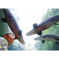 栃木県なかがわ水遊園