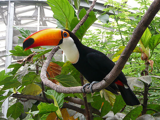 井頭公園 井頭公園一万人プール周辺 真岡市 栃木県のエリア情報 栃ナビ 井頭公園 井頭公園一万人プール周辺 真岡市 栃木県のエリア情報 栃ナビ