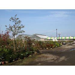 みのり花木センター インターパーク店