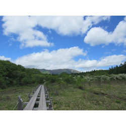 沼ッ原湿原