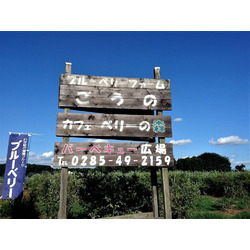 ブルーベリーファームごうの