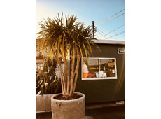 SaicheZ FROZEN YOGURT (サイチェス フローズンヨーグルト)