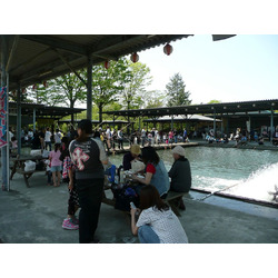 赤見温泉フィッシングフラワーパーク