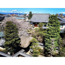 臨済宗妙心寺派 報恩寺