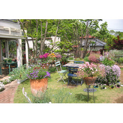 “花にかこまれて”Garden Cafe 南の麦