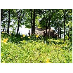 うつのみや遺跡の広場