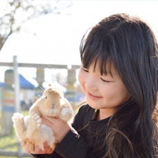 ゴールデンウイーク特集