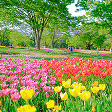 ゴールデンウイーク特集