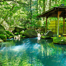 ゴールデンウイーク特集