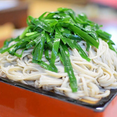 ゴールデンウイーク特集