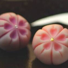 栃ナビ!おすすめセレクト