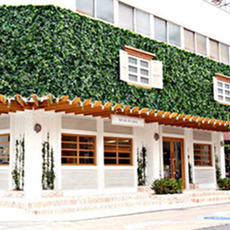 ゴールデンウイーク特集