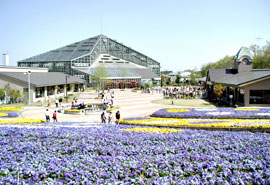 とちぎ花センター 栃木市の公園 ガーデニング 造園 園芸 栃ナビ